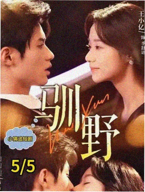 长夜列车剧集条目封面